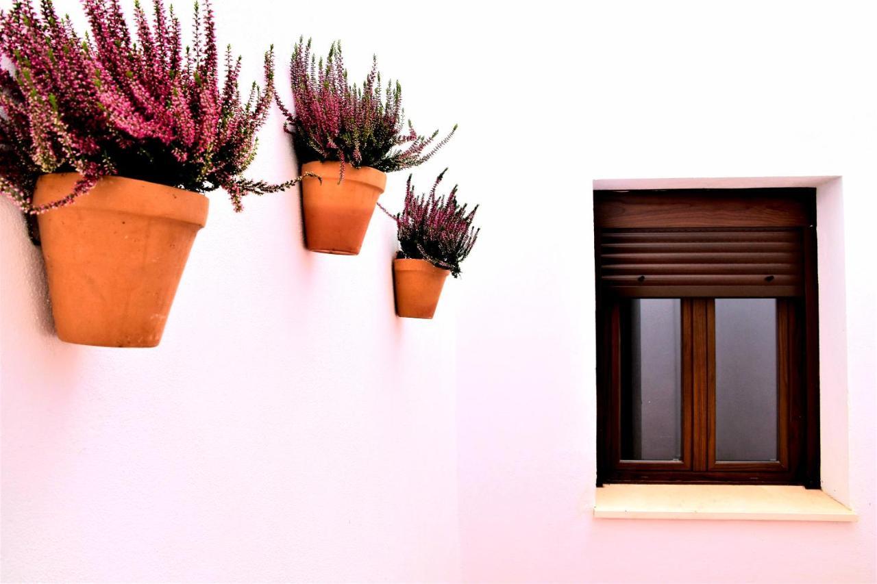 Apartamentos Turisticos Mamelon Jerez de la Frontera Exterior foto